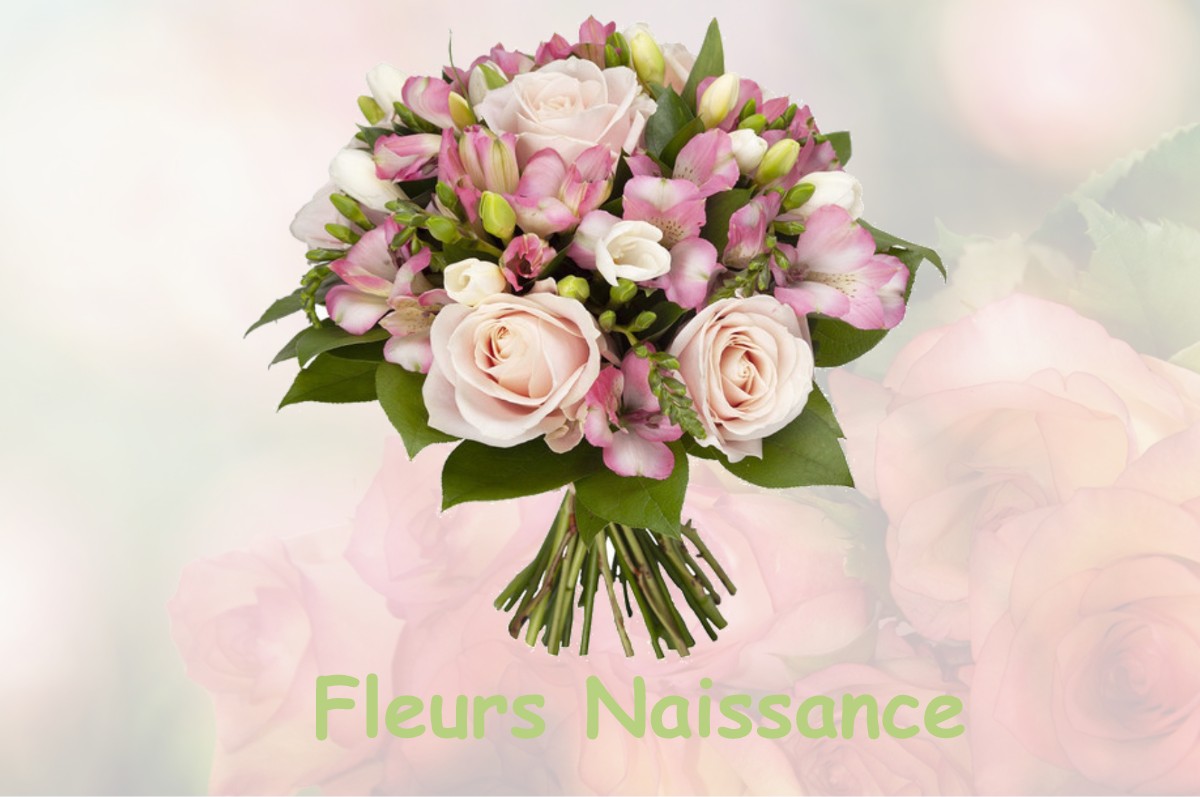 fleurs naissance LA-MADELEINE-DE-NONANCOURT